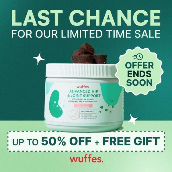 A square-formatted promotional ad for pet joint supplements, featuring a high-contrast design and clear limited-time discount messaging.